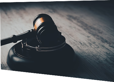 Litigation and dispute resolution